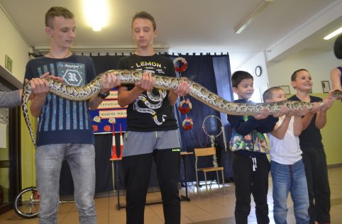 Cyrk w naszej szkole